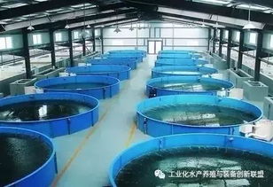 认知革命 陈海龙揭秘工厂化水产养殖系统的核心实质
